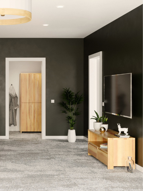 Komoda RTV Silva - lite, lakierowane drewno olchowe