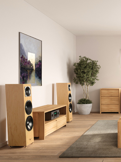 Komoda RTV Silva - lite, lakierowane drewno olchowe