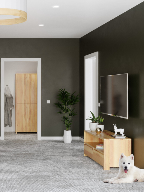 Szafa Silva - lite, lakierowane drewno olchowe