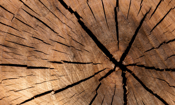 Dlaczego warto wybierać meble drewniane?